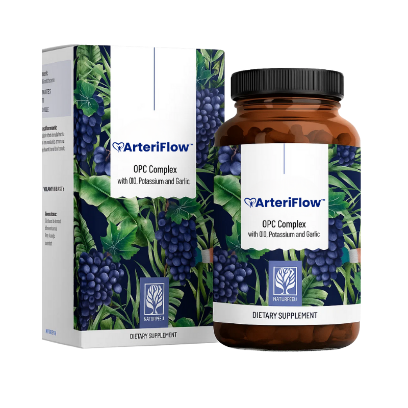 ArteriFlow