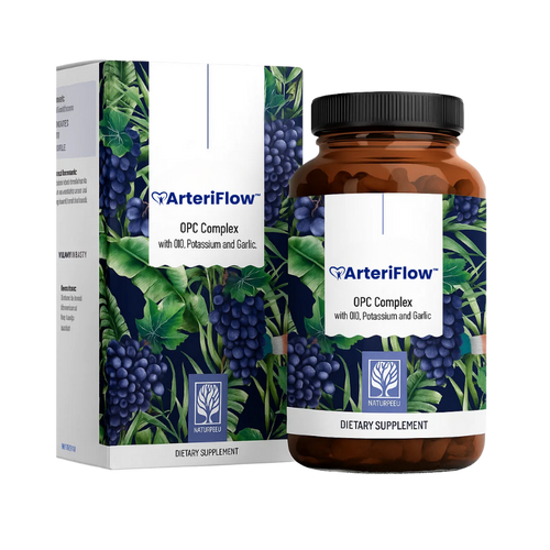 ArteriFlow
