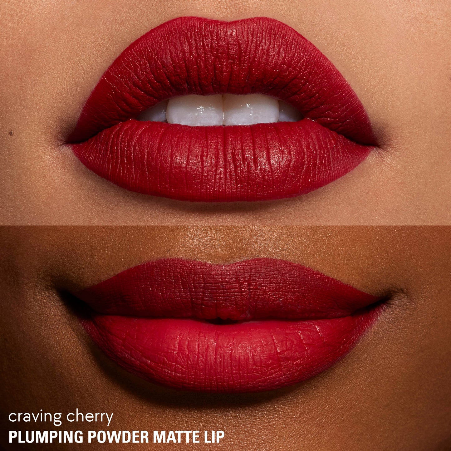 Plumping Matte Powder Lipstick