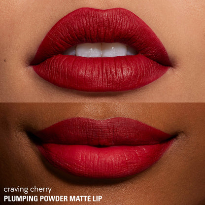 Plumping Matte Powder Lipstick