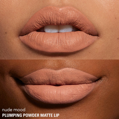 Plumping Matte Powder Lipstick
